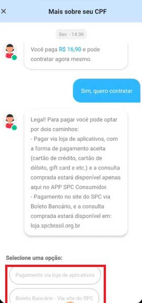 OPCAO PAGAMENTO SPC CONSUMIDOR