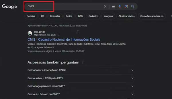 PESQUISA CNIS