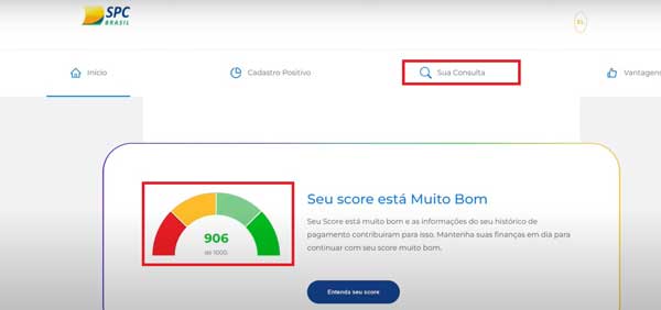 SUA CONSULTA SCORE SPC BRASIL