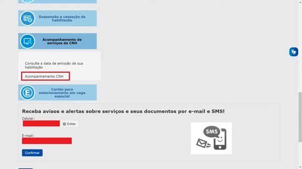 ACOMPANHAMENTO CNH DETRAN SP
