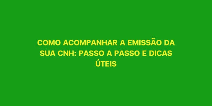 COMO ACOMPANHAR A EMISSAO DA SUA CNH PASSO A PASSO E DICAS UTEIS