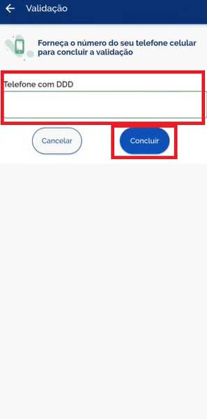 DIGITE TELEFONE COM DDD VALIDAR UTILIZANDO O CELULAR CNH CDT